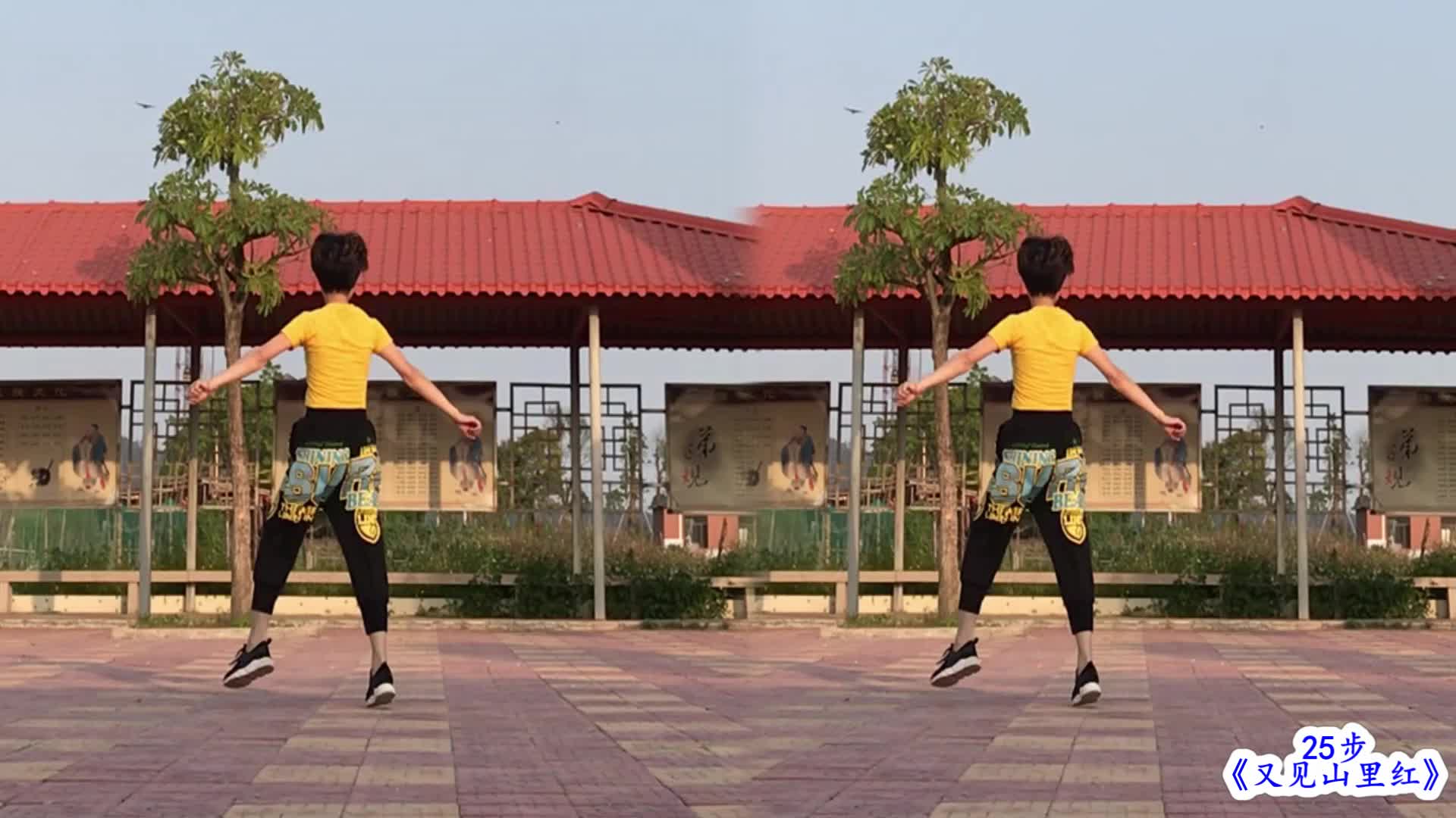 龙年舞春风 骏马步新程