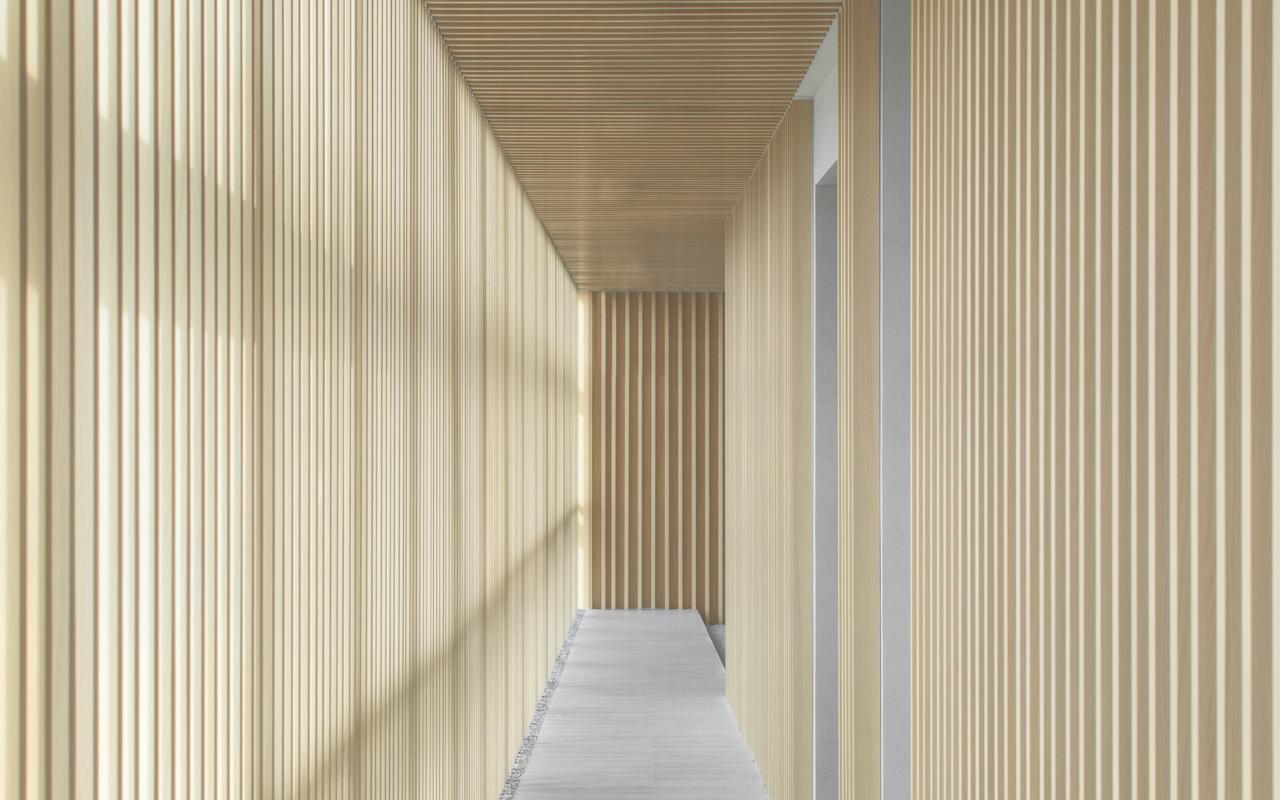 释压前行 筑梦未来