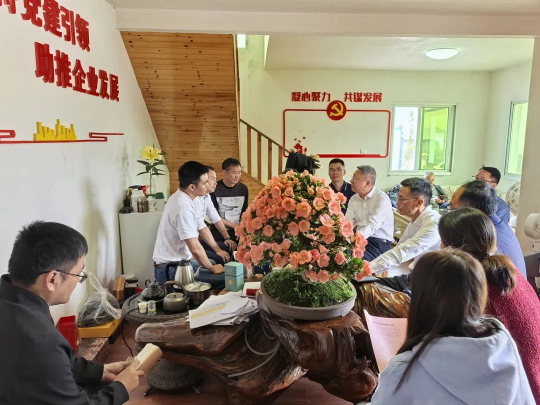 凝心聚力谋发展 农村教育写新篇