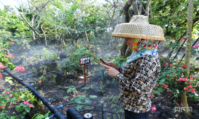 【扶贫1+1】成都：青羊区脱贫“软硬兼修” 情融“太阳谷”