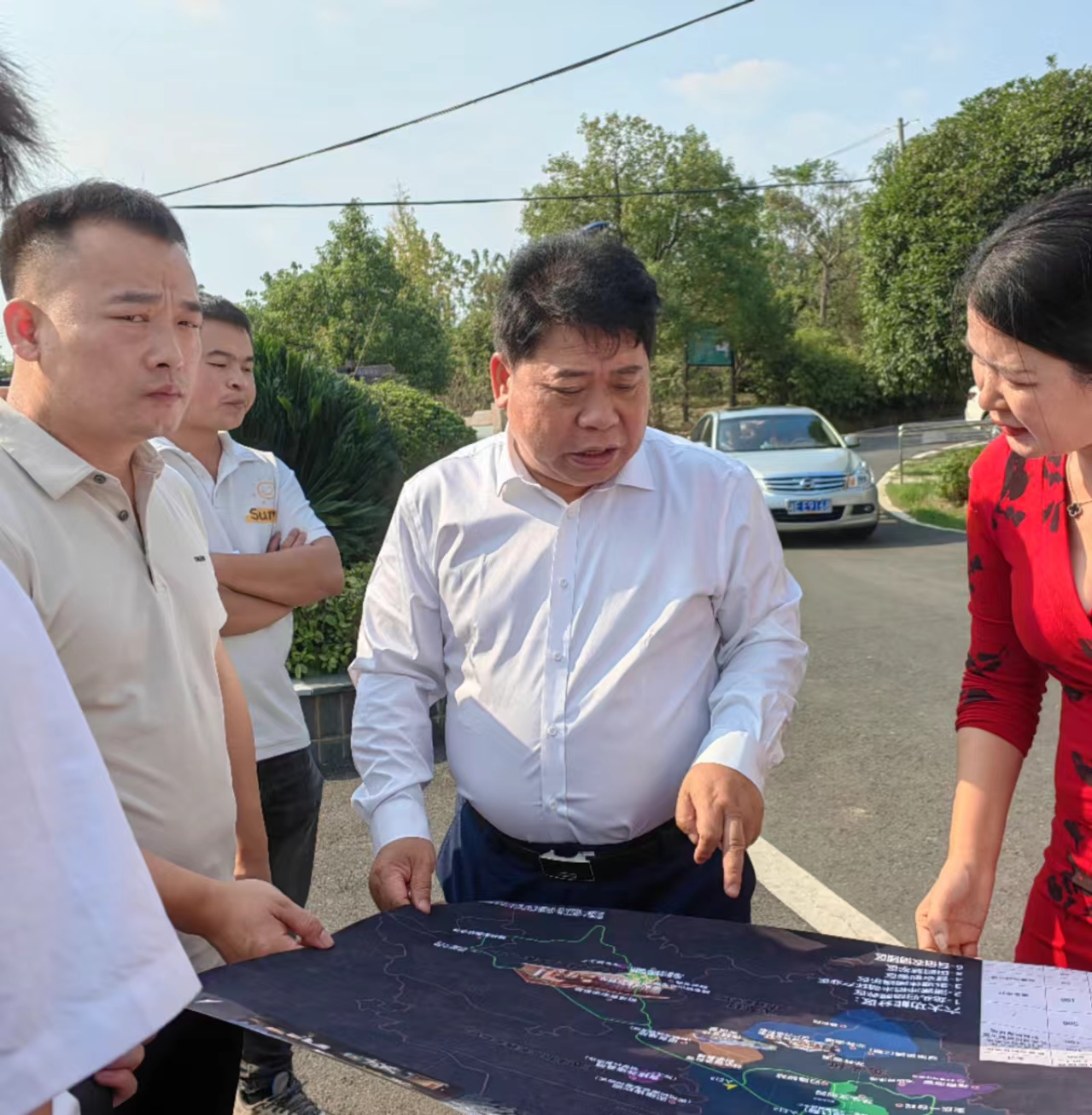 狮子村红叶李观光休闲步道绘就乡村振兴新画卷