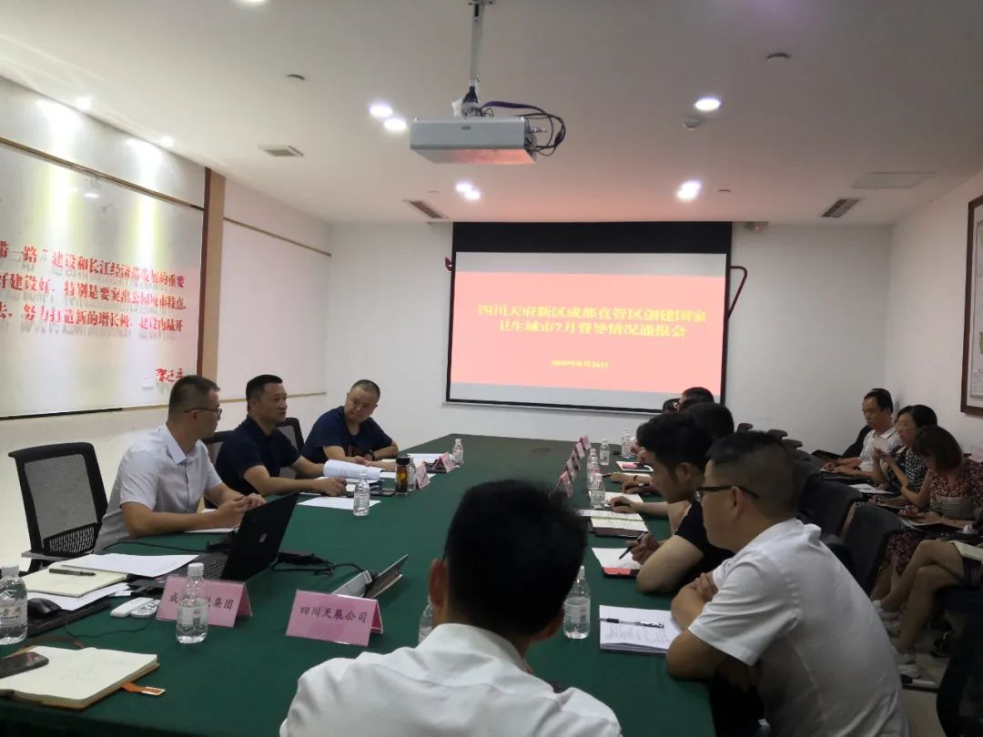 四川天府新区教育卫健局党组班子召开2024年度民主生活会