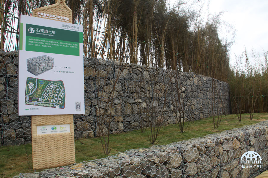 不断创新拓展“文明实践+”激活基层治理“文明细胞”