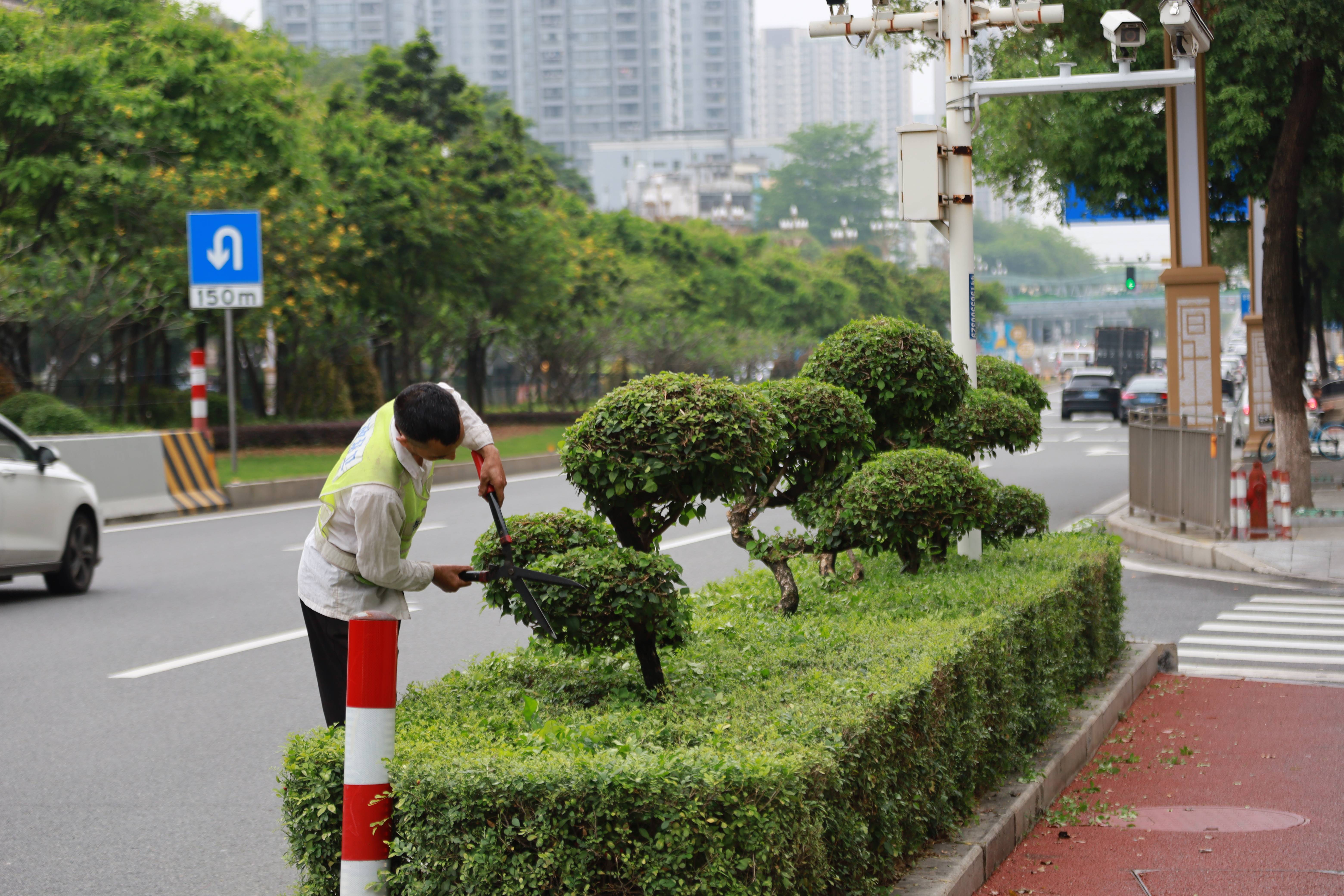 扮靓城乡道路“颜值” 绘建和美共富乡村