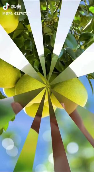 “柚”盼童心 “柚”见成长