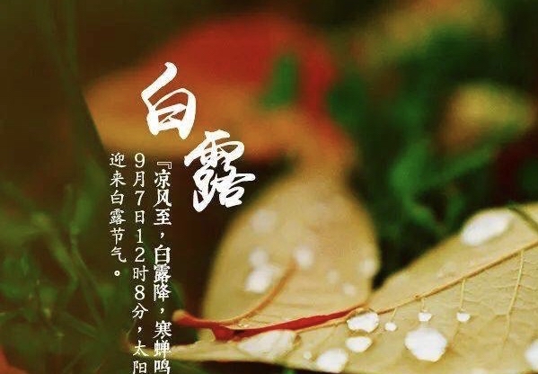 节气物候图鉴：白露至凉意生 全国玉露生凉地图看哪里率先迎秋凉